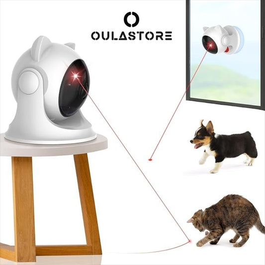 Interactive cat Toy for Kittens